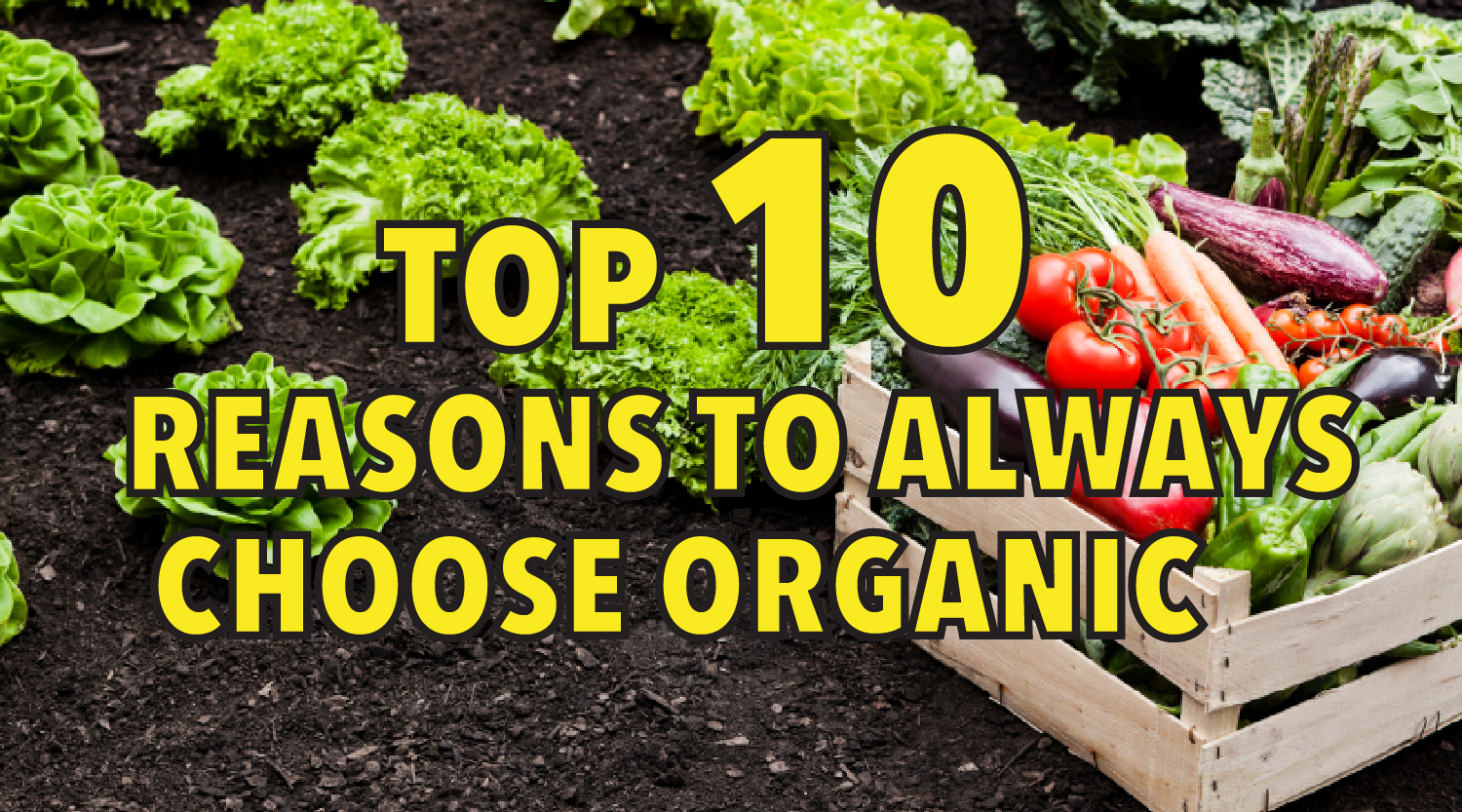 Top 10 reasons to always choose organic