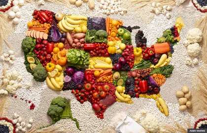740-usa-map-diet-foods.imgcache.rev1359853570217.web.420.270