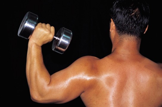 Body-Builder-Back-Muscles-Weights